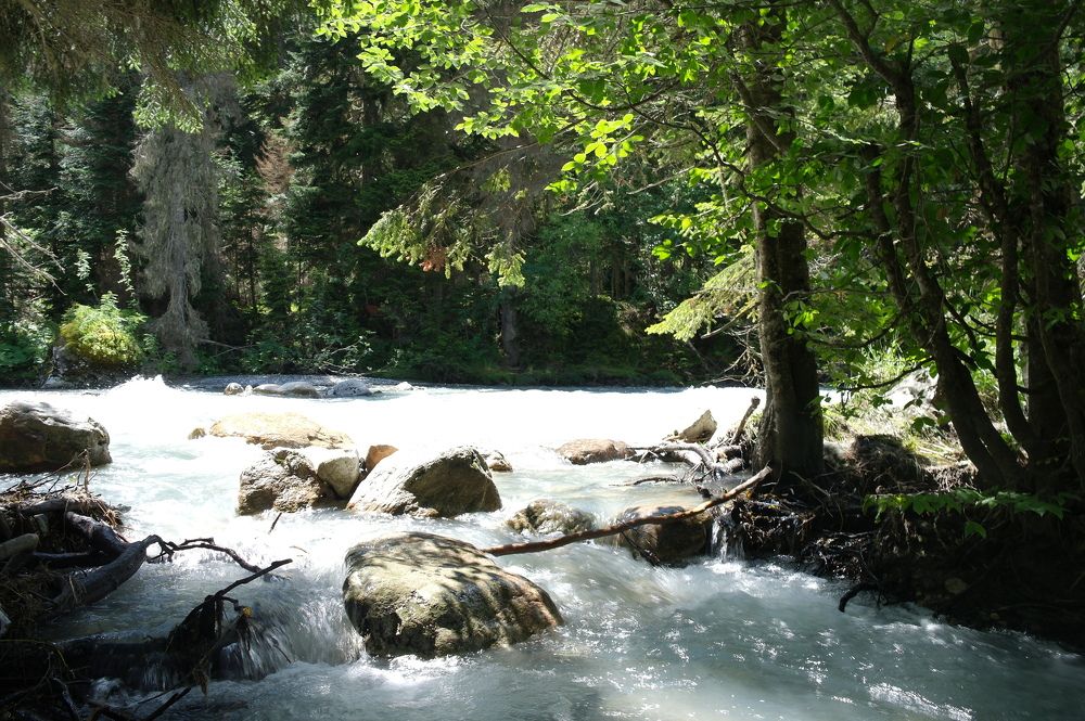 Photograph by Ирина Дронова