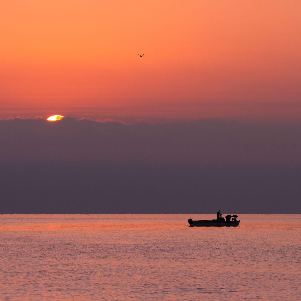 Photograph by ELENA VOLKOVA