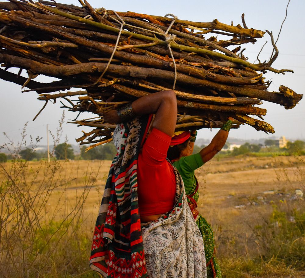 Фотография автора Prajkta Panchmukh
