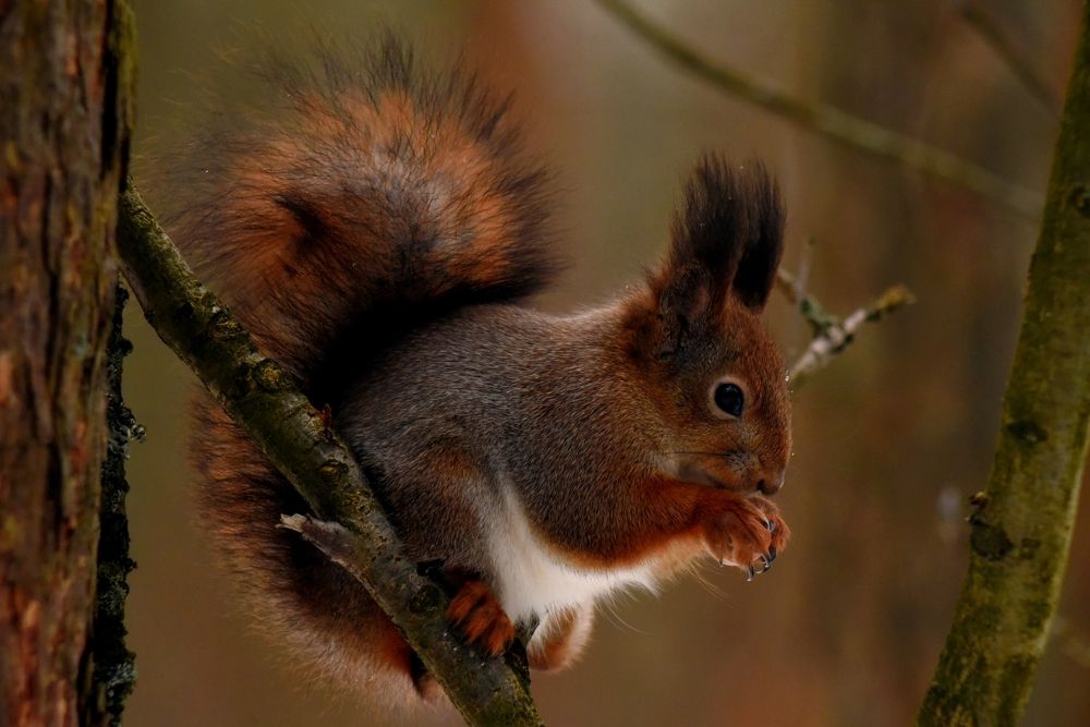 Photograph by Алексей Кузьмин