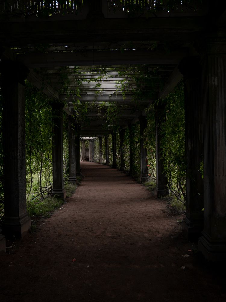 Photograph by Виктория Максюта