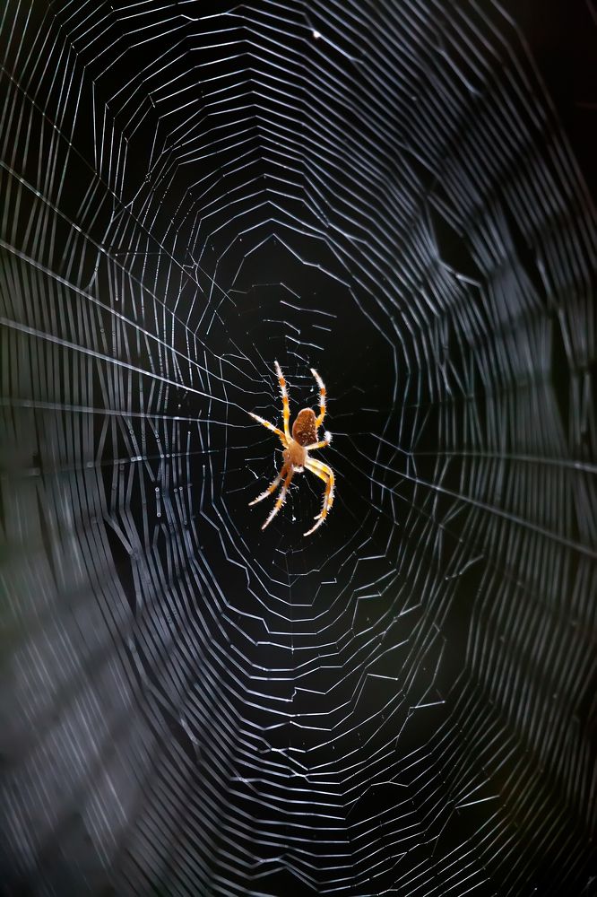 Фотография автора Dmitry Finkel