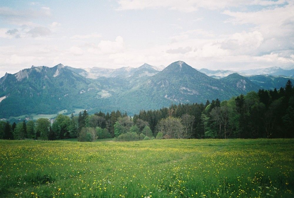 Photograph by Maryna