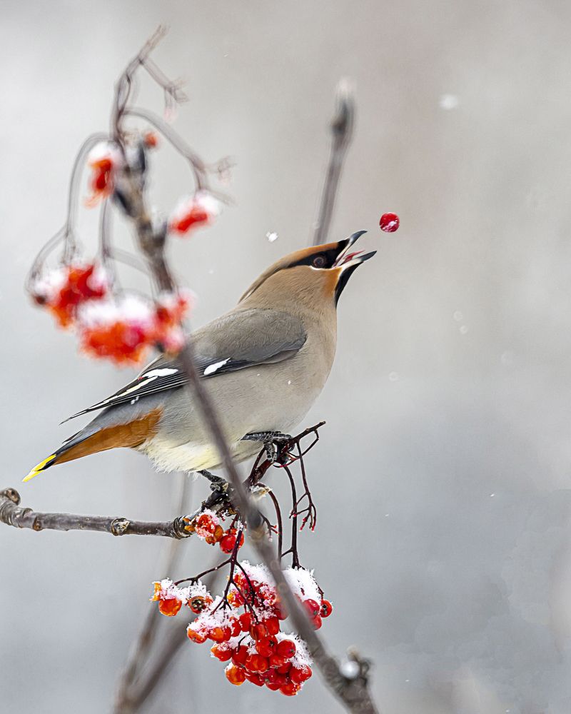 The coolest picture ever!