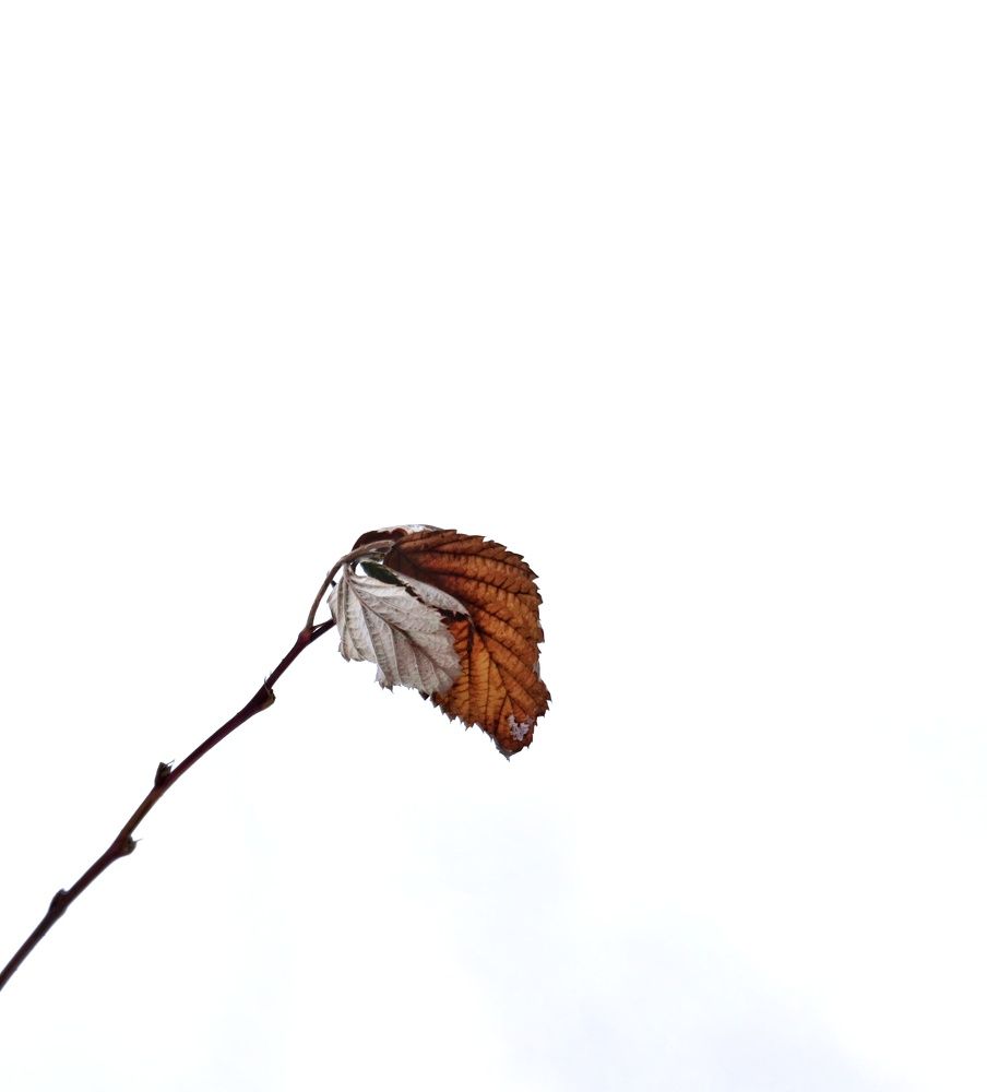 Photograph by Юрий Полушин