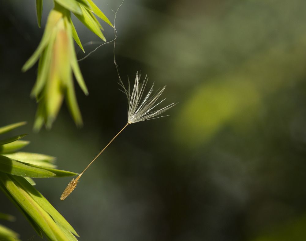 Photograph by ELENA VOLKOVA