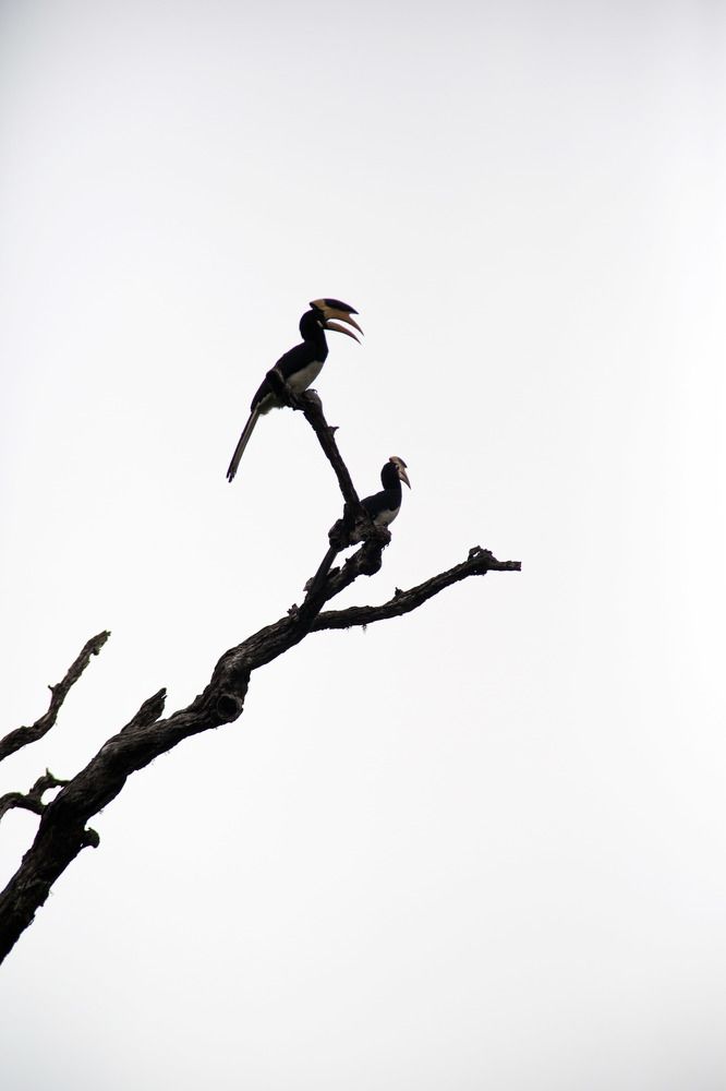 Photograph by Виктория Нарчук