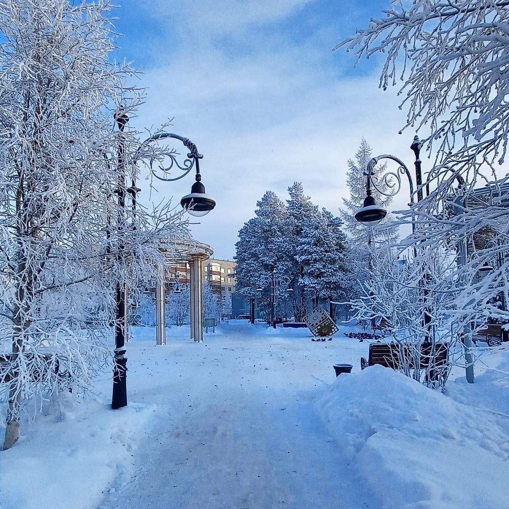 Зимний  скверик. Ямальская зима.
