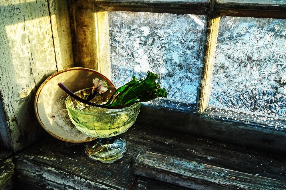 Фотография автора Харитонова Елена