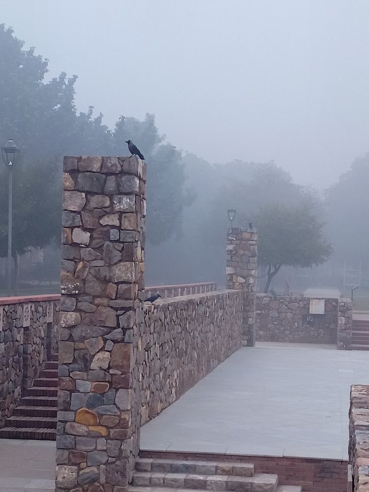 Photograph by Rubina Hasan