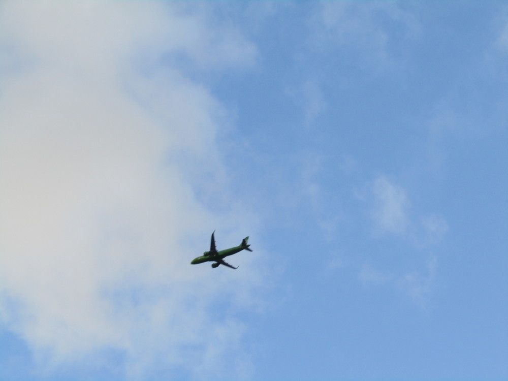 Photograph by Николай Худяков