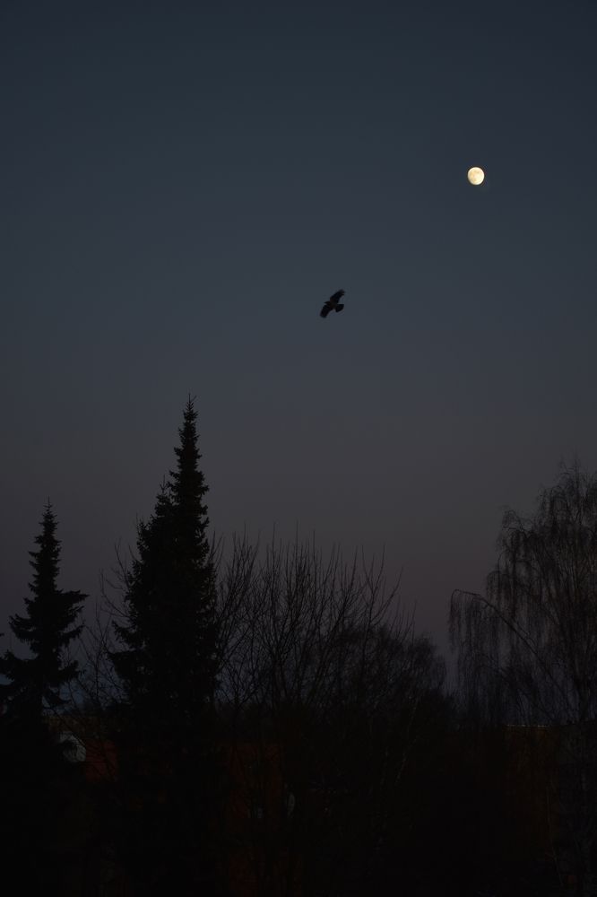Photograph by Мария Шерих