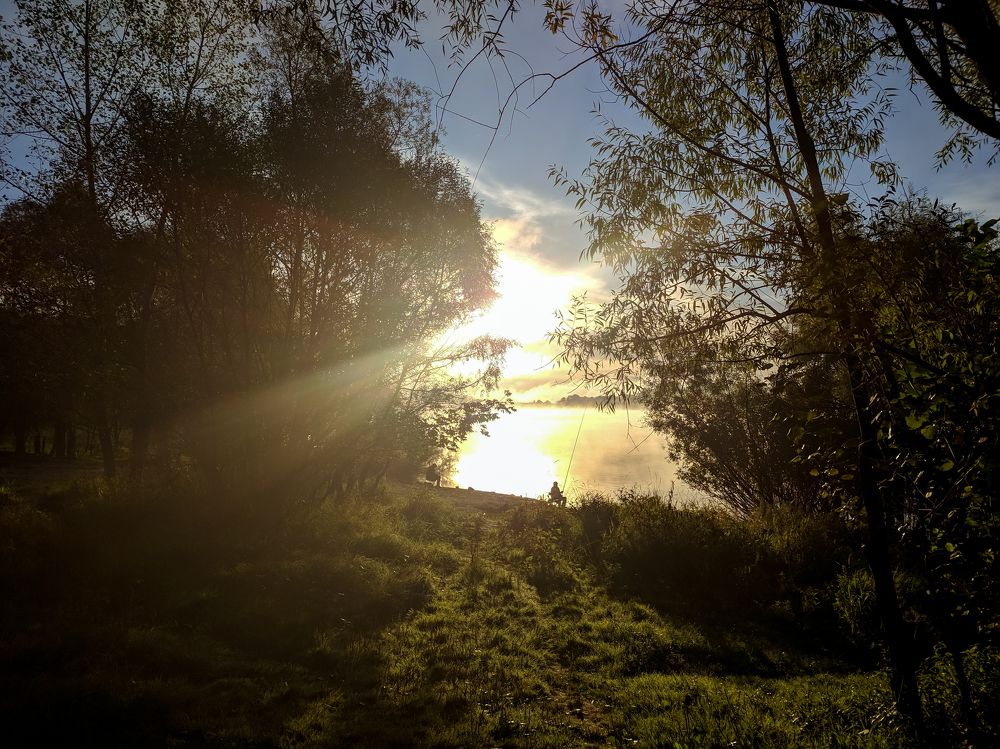 Morning on the riverside