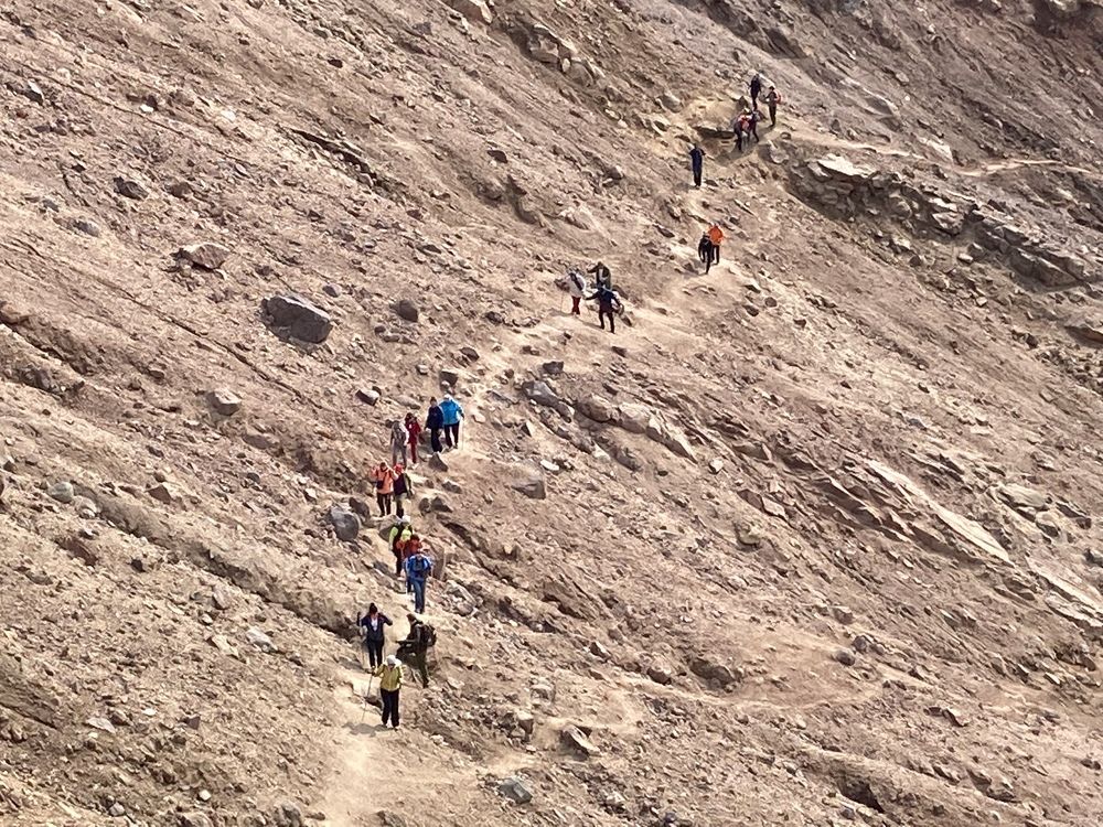 Фотография автора Анна Могилева