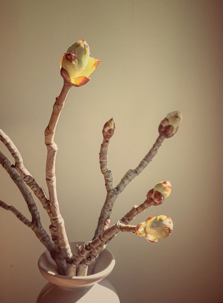 Photograph by Гордеева Ирина