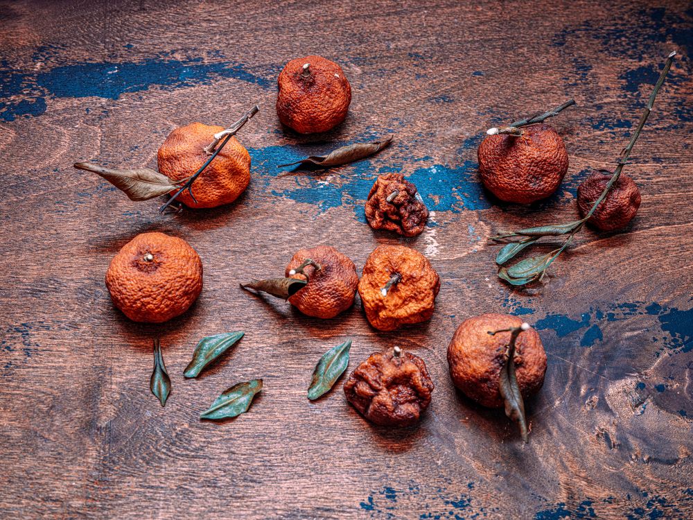 Photograph by Rada Olshevskaya