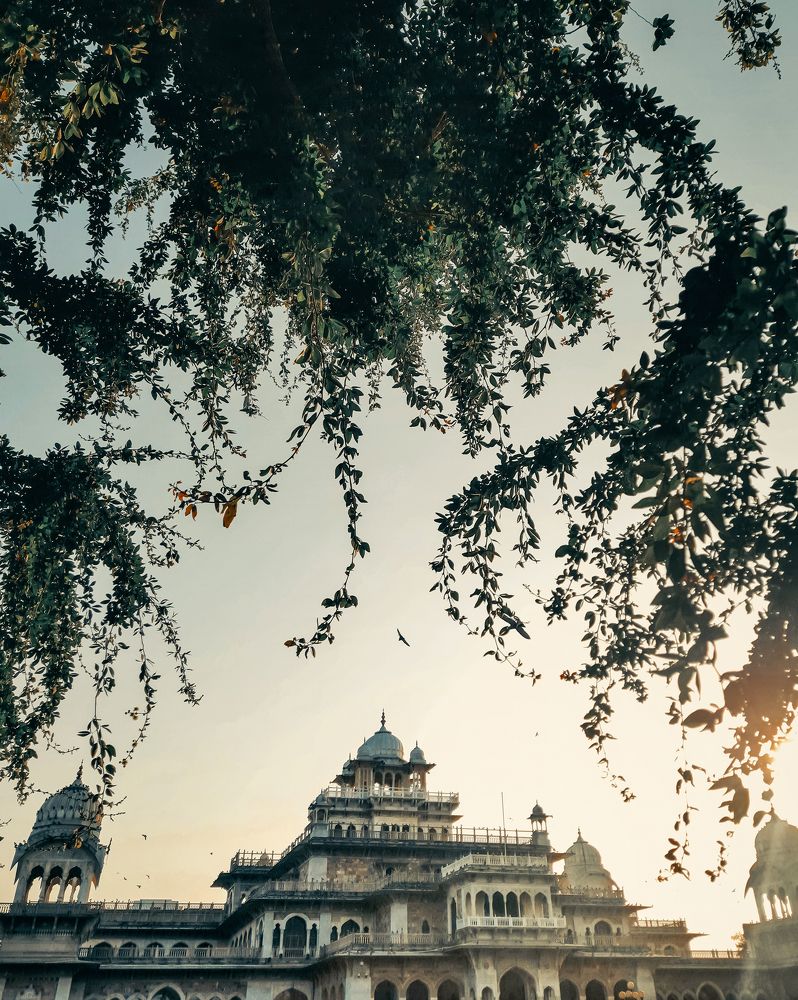 Photograph by Indu Choudhary