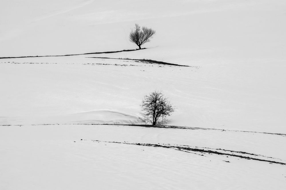 Фотография автора Alipour mohammad