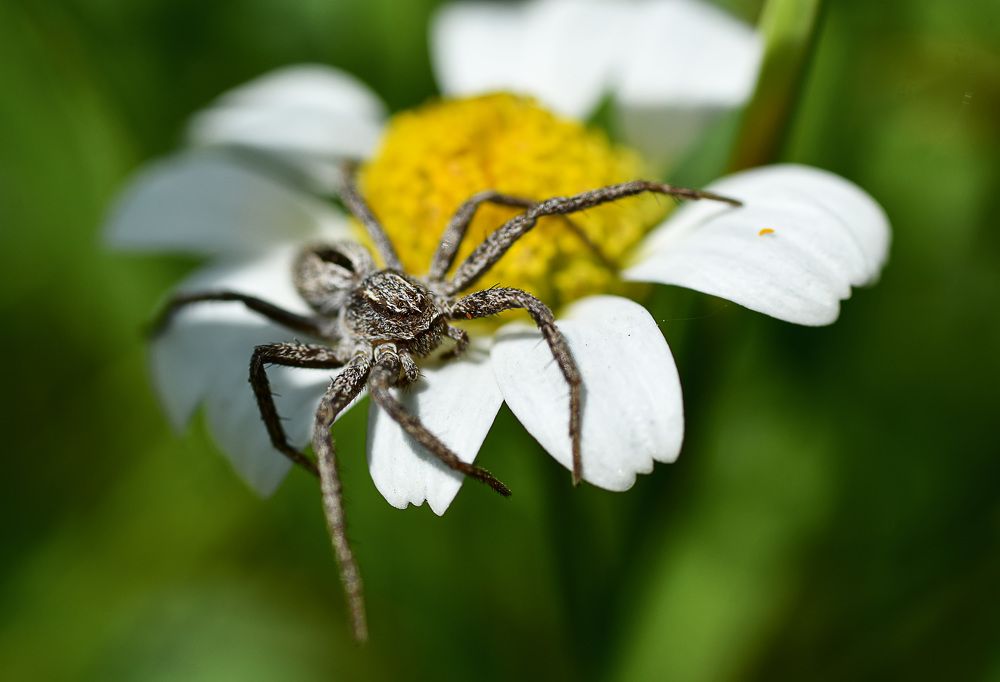Фотография автора Билан Виктория
