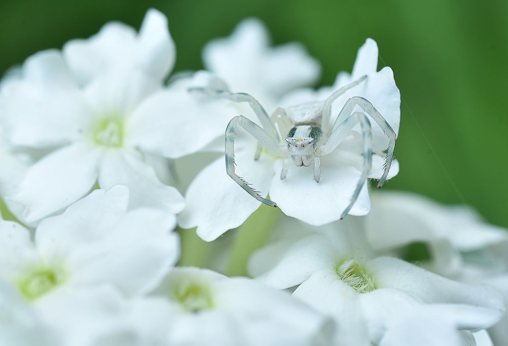 Фотография автора Билан Виктория