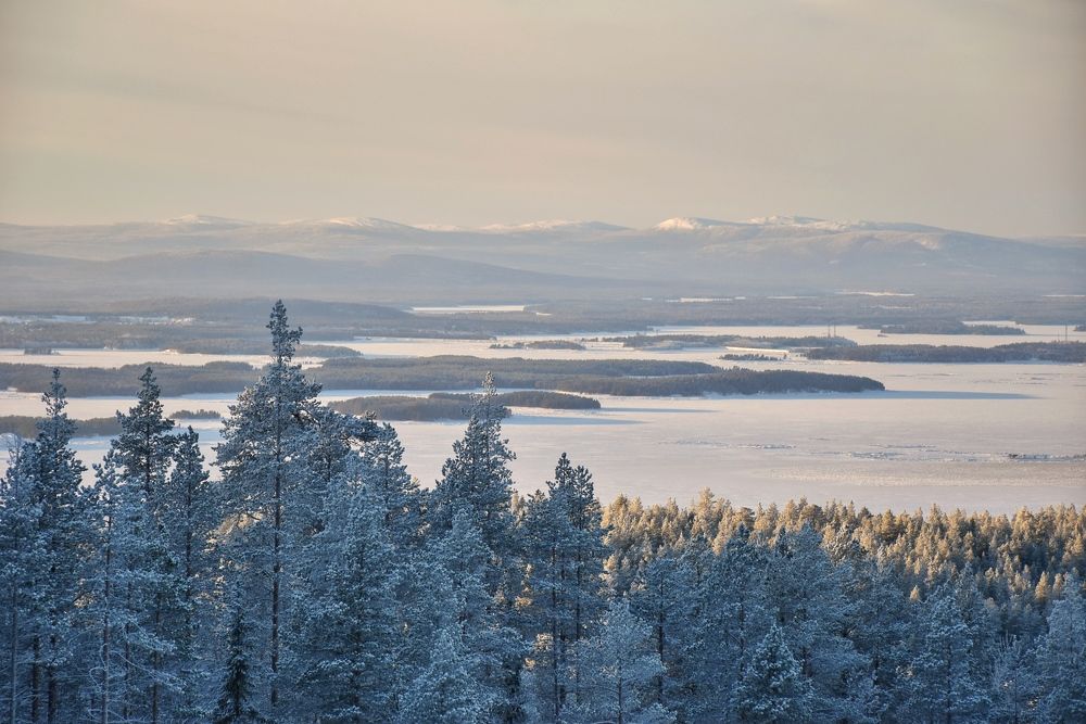 Photograph by Алина Голубева