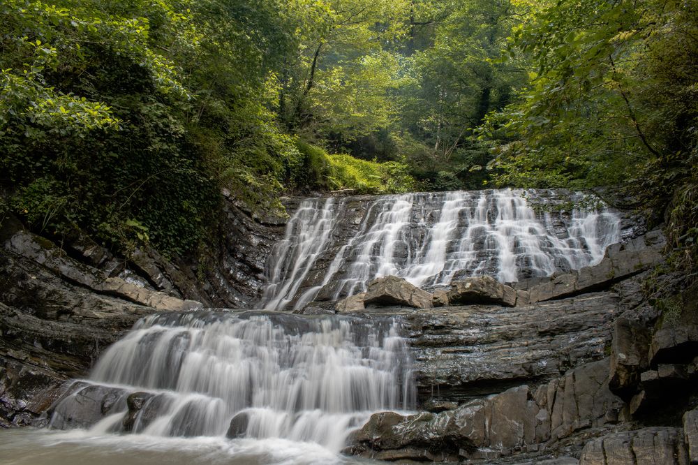 Фотография автора Антон Бразевич