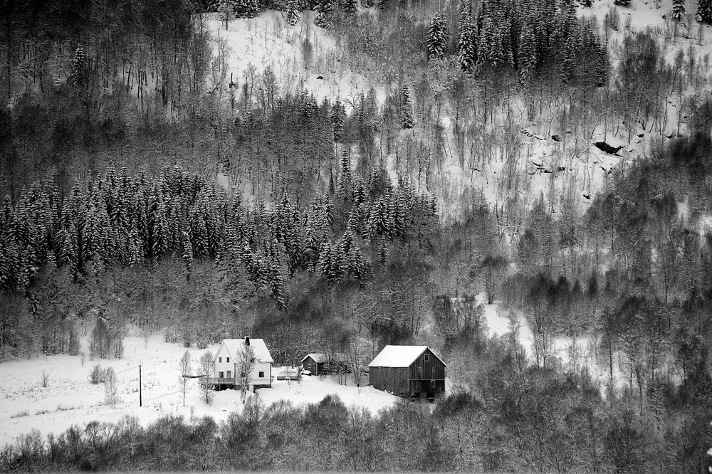 Photograph by Radu Marian