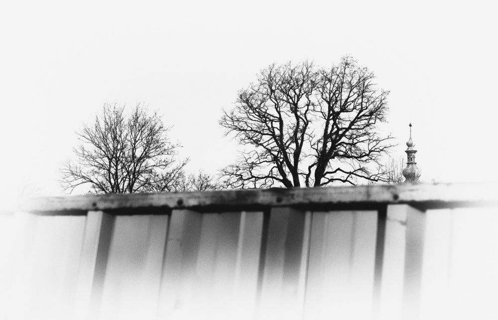 Photograph by Miloš Kostka