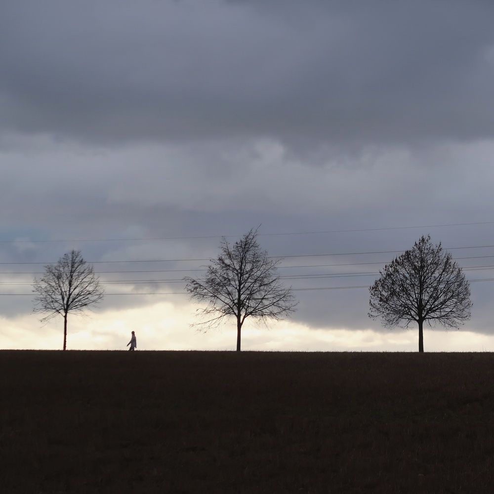 Photograph by Miloš Kostka
