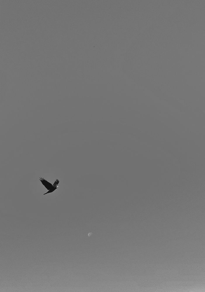 Photograph by Анна