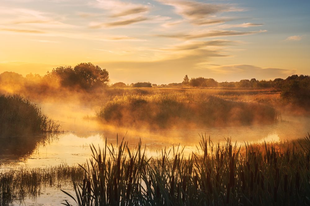 Photograph by Михаил Харитонычев