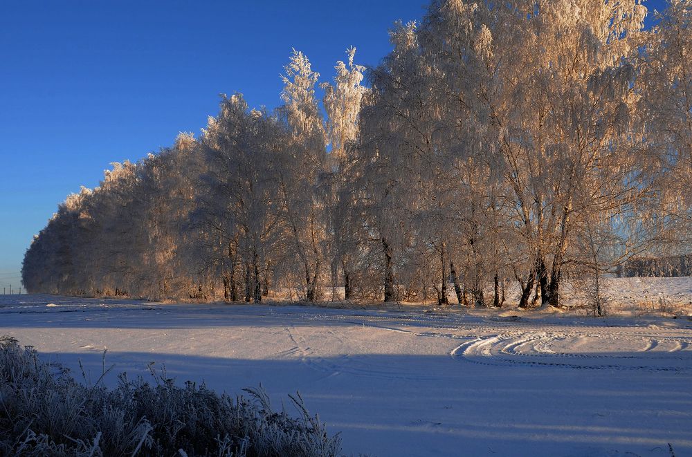 Photograph by Владимир