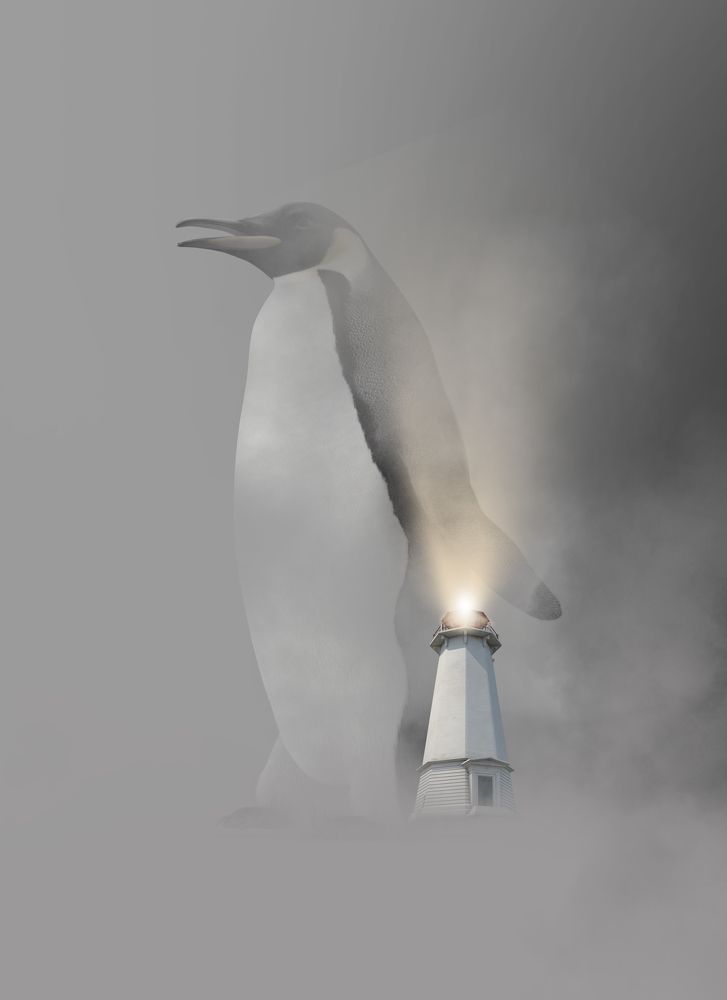 Naturaleza Imponente