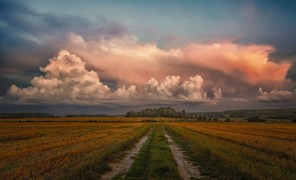 Photograph by Александр Никитинский