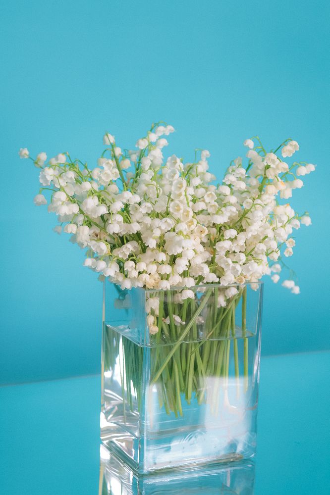 Photograph by Ольга Козлова