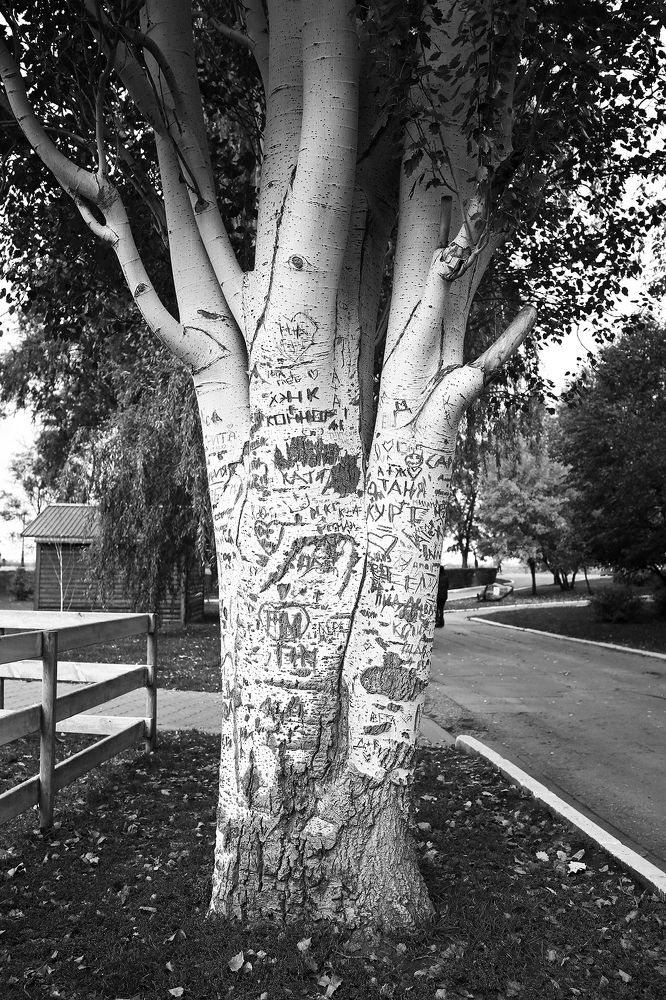 Здесь был Вовочка.