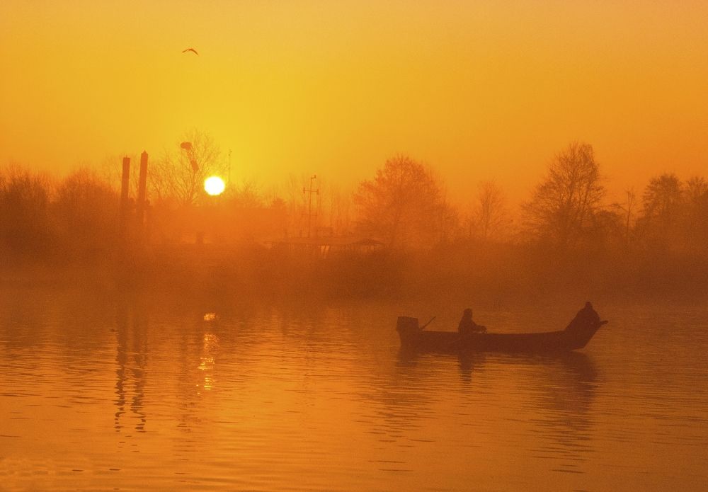 Photograph by Hadis Golpour