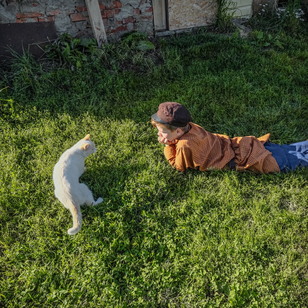 Из жизни деревенского кота