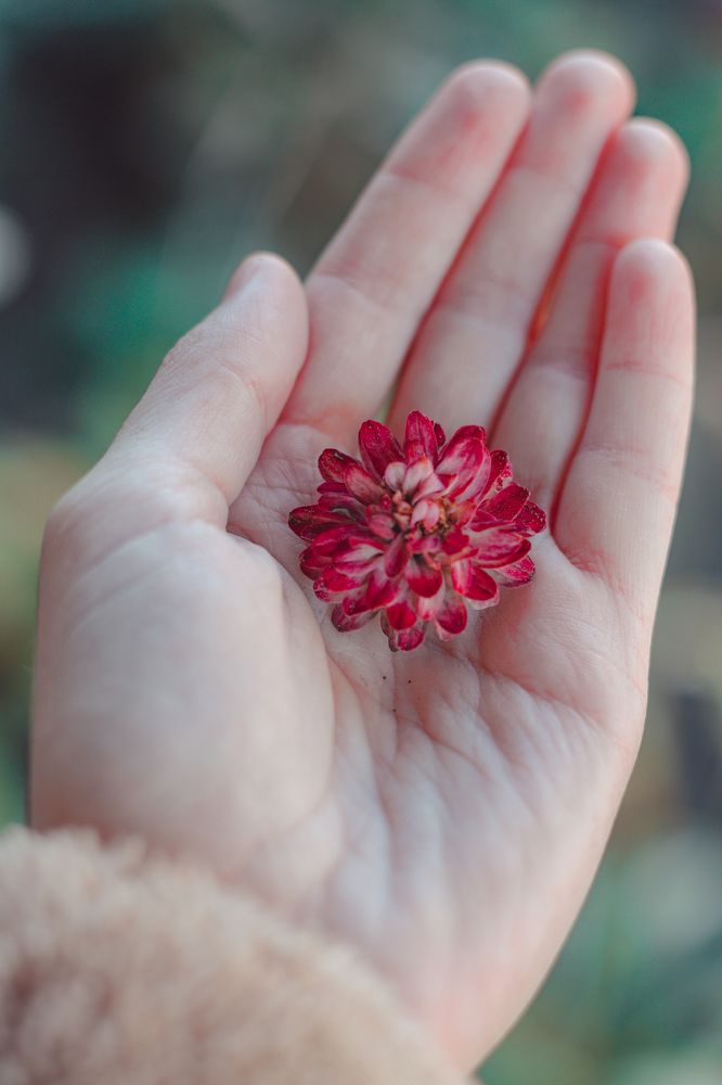 Photograph by Лена Андреева