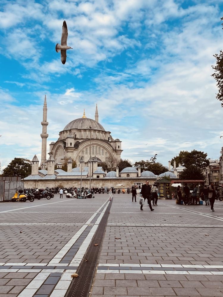 Photograph by Карина Лисина