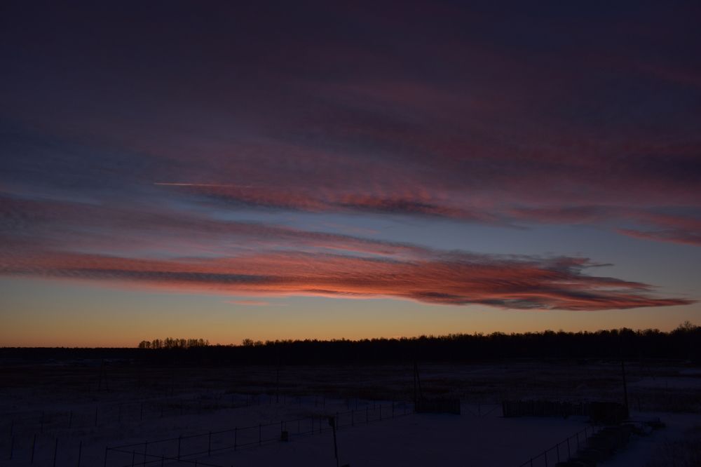 Photograph by Михаил Жарков