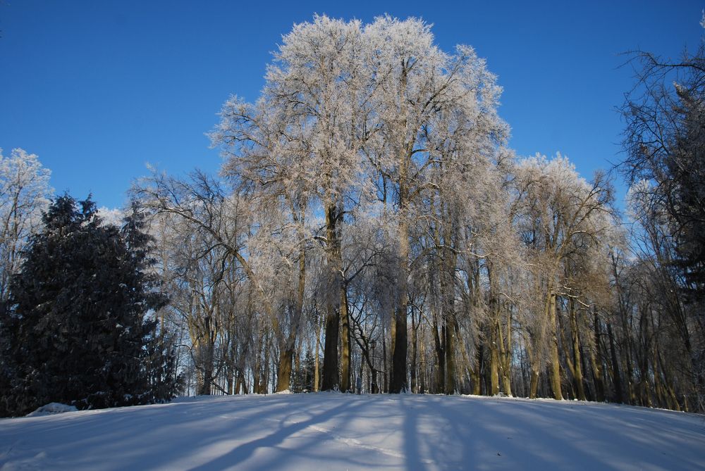 Морозное утро