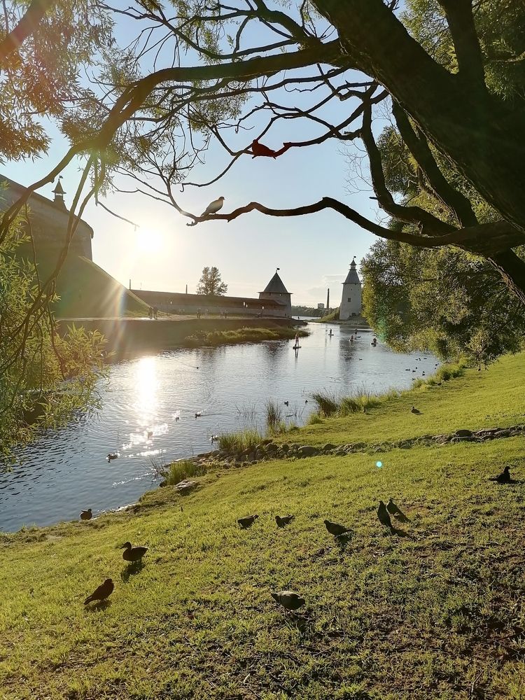 Photograph by Елена Степанкина