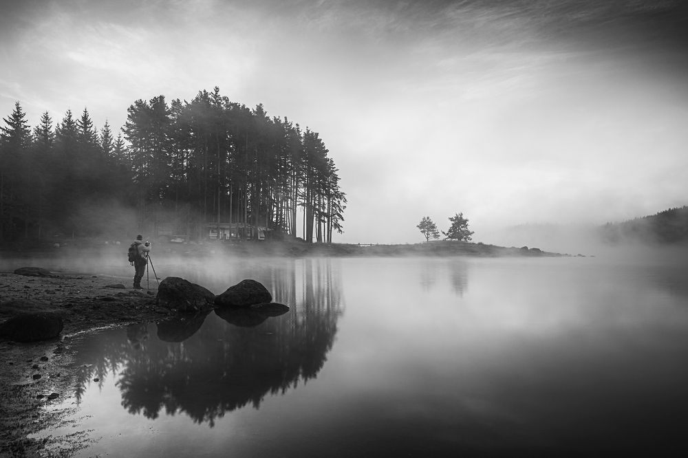 Morning contemplation