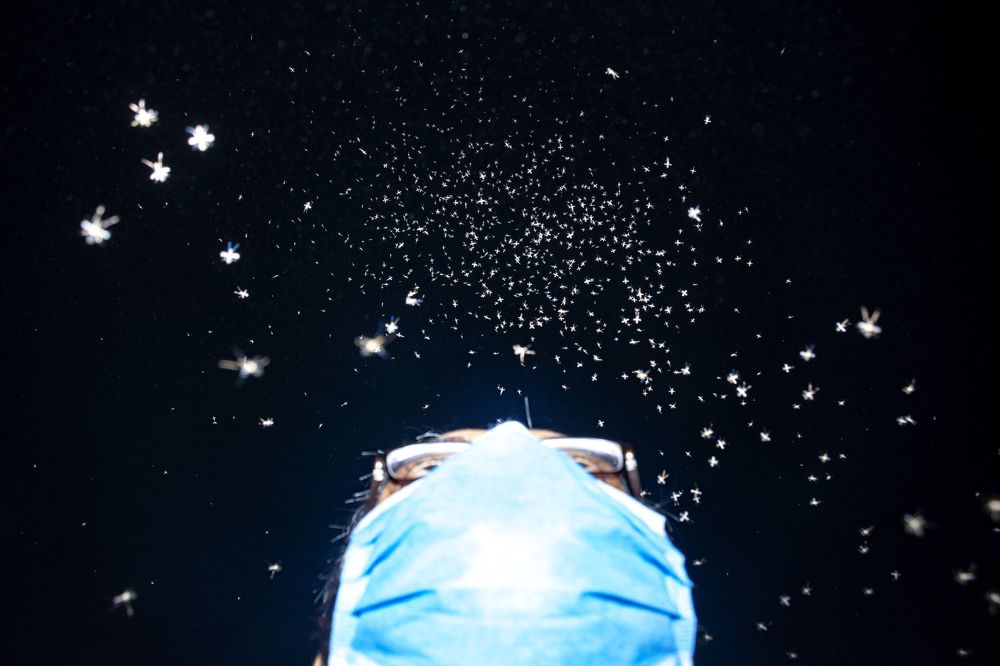 Photograph by Ayman Nakib