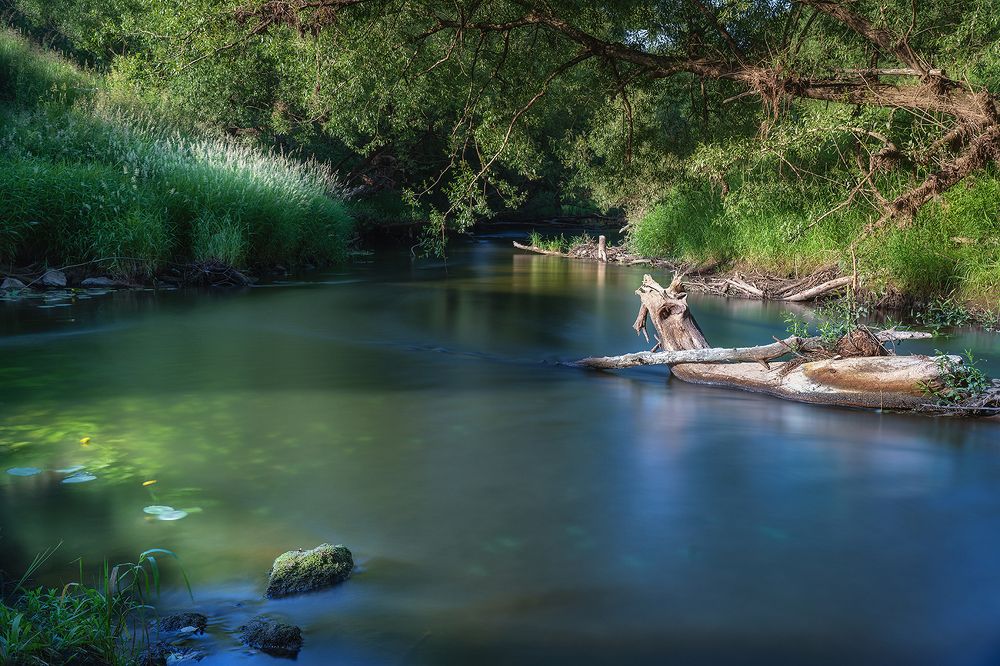 Фотография автора ЯR Ольга