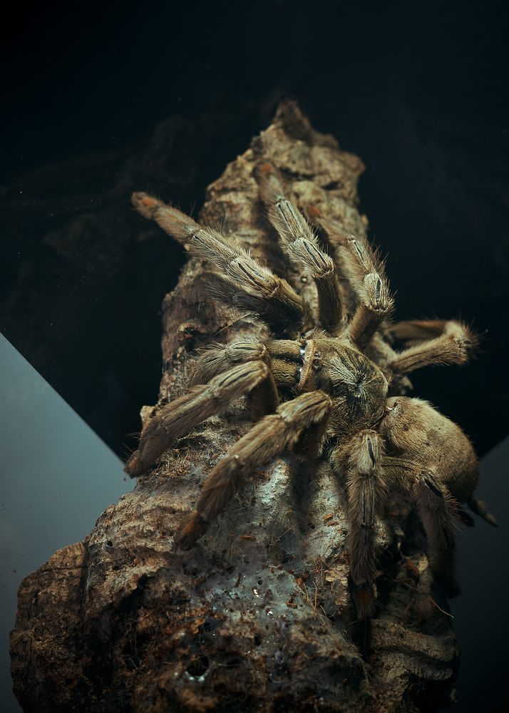 Photograph by Yuliya Khramova