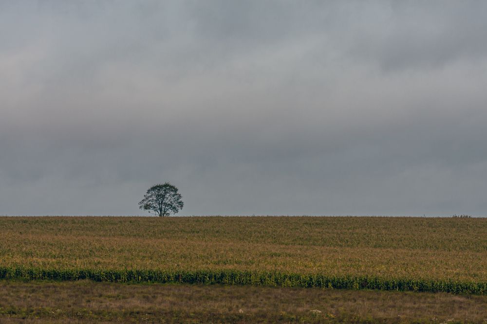 Photograph by Евгений Москвин