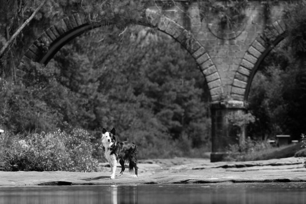 The lady and the arch