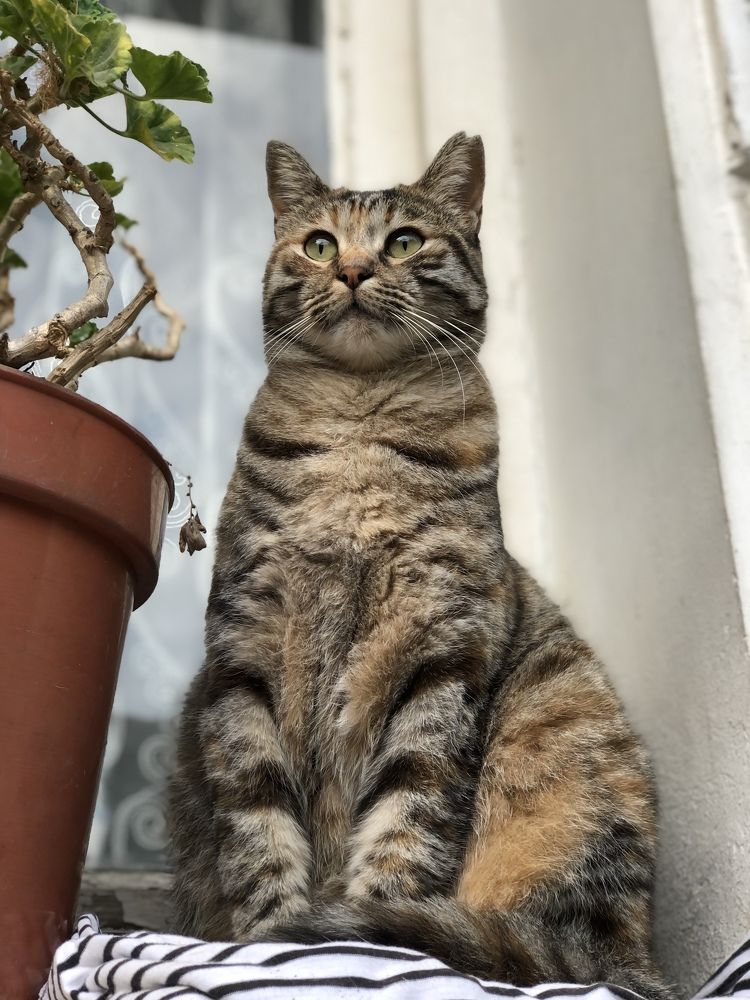 Photograph by Татьяна Калайда